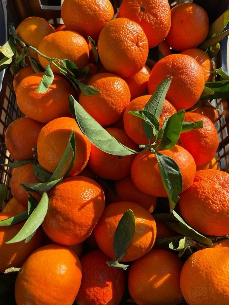 Clementine BIO - Cassetta 10kg